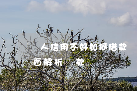 個人信用不好如何借款買車？全面解析貸款購車問題